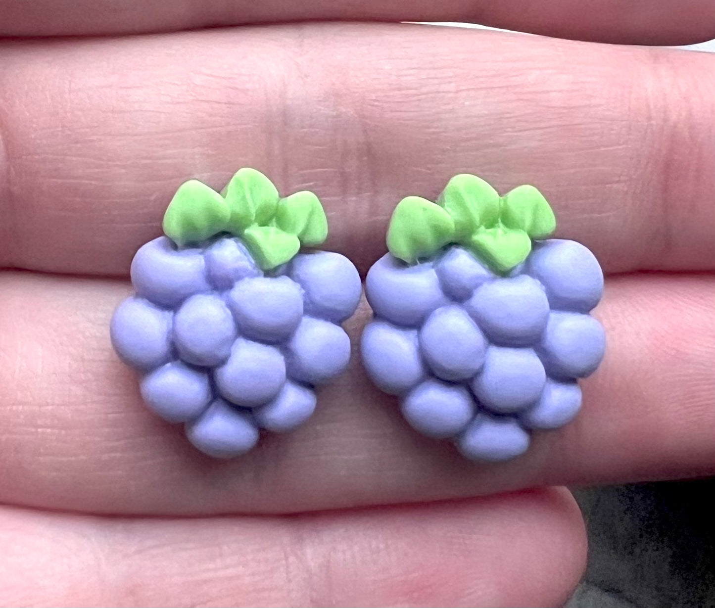 Pipe Fruit Resin Stud Earrings