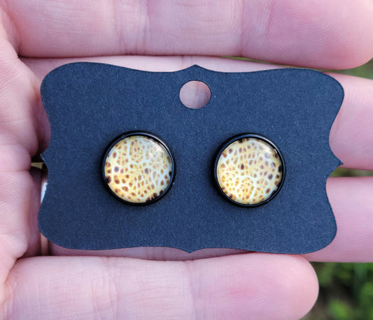 Baby Cheetah Cabachon Black Bezel Earrings- 12 mm ONLY!