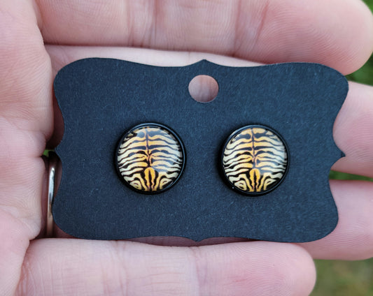 Tiger II Cabachon Black Bezel Earrings- 12 mm ONLY!